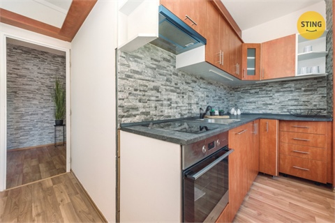 Prodej bytu 2+1, 54 m² 8