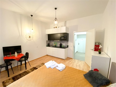 Pronájem bytu 1kk, 26 m² 0