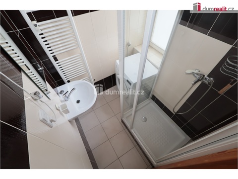 Pronájem bytu 1+1, 46 m² - 14