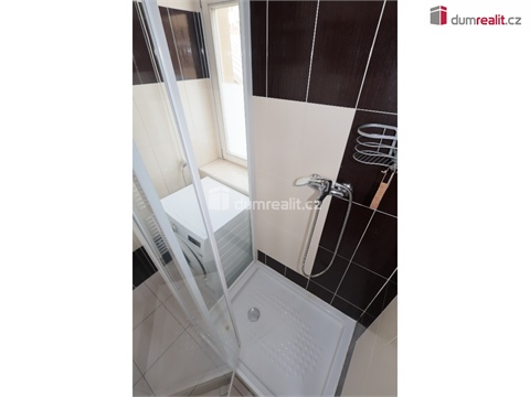 Pronájem bytu 1+1, 46 m² 14