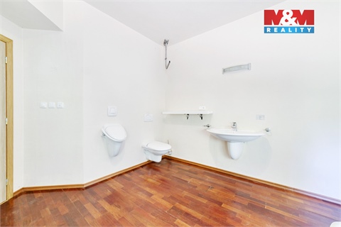 Prodej rodinného domu, 232 m² - 10