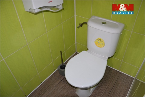 Prodej obchodních prostor, 239 m² 16