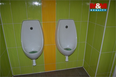 Prodej obchodních prostor, 239 m² - 12