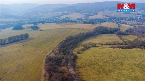 Prodej lesu, 10 293 m² 2