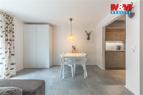 Prodej bytu 1kk, 29 m² - 18