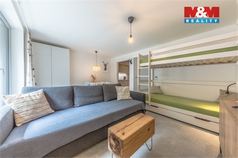 Prodej bytu 1kk, 29 m² 18