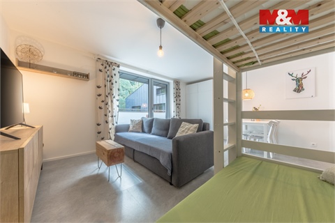 Prodej bytu 1kk, 29 m² - 16