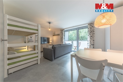 Prodej bytu 1kk, 29 m² 2