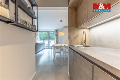 Prodej bytu 1kk, 29 m² 22