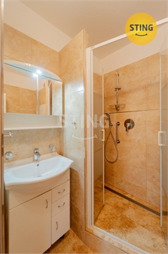 Prodej bytu 1+1, 35 m² 8