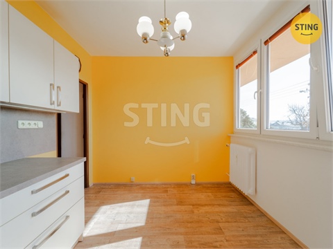 Prodej bytu 1+1, 35 m² 18