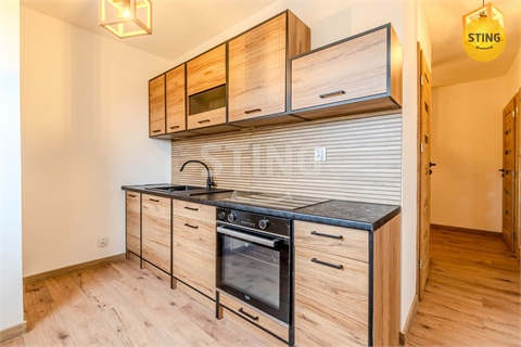 Pronájem bytu 2+1, 56 m² 0