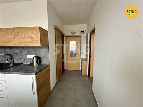 Pronájem bytu 1+1, 32 m² - 4