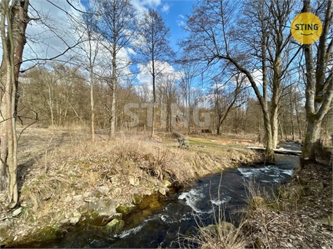 Pronájem rodinného domu, 170 m² 14