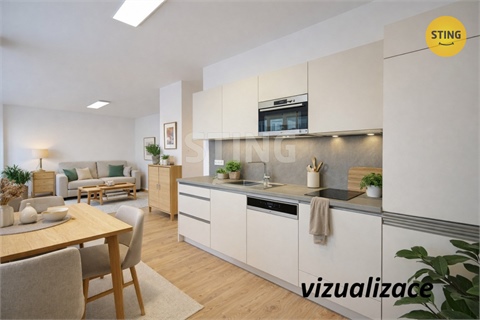 Pronájem bytu 3kk, 108 m² 4