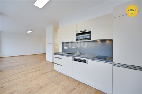 Pronájem bytu 3kk, 108 m² - 4