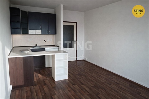 Prodej bytu 1kk, 29 m² 0