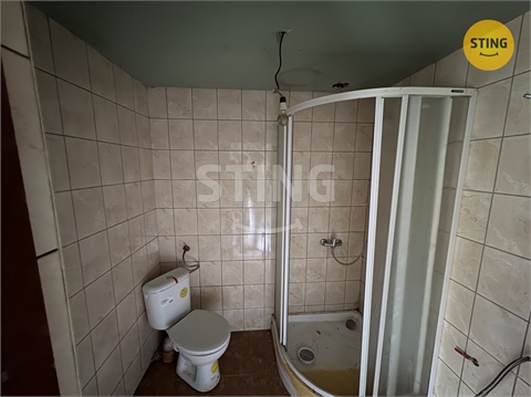 Prodej rodinného domu, 370 m² - 18