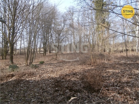 Prodej ubytování, 970 m² - 10