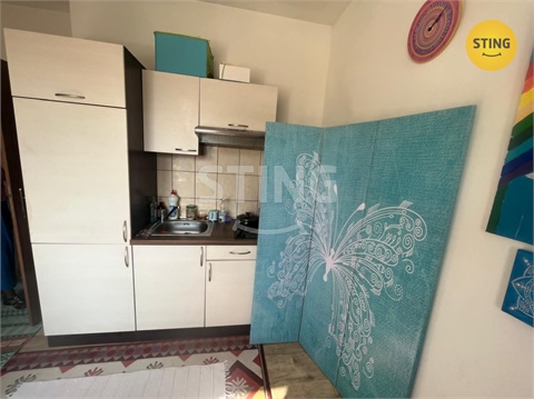 Pronájem bytu 1+1, 30 m² - 6