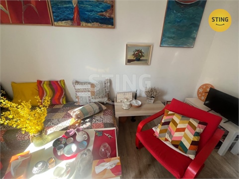 Pronájem bytu 1+1, 30 m² - 4