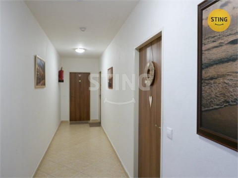 Pronájem bytu 1+1, 30 m² 12