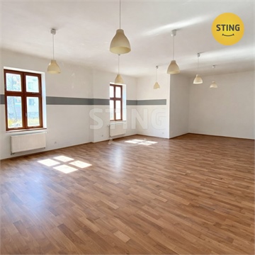 Pronájem obchodních prostor, 181 m² - 2