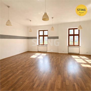 Pronájem obchodních prostor, 181 m² - 4