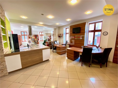 Pronájem obchodních prostor, 181 m² - 10