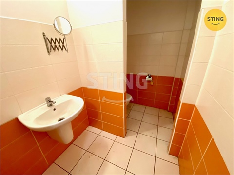 Pronájem obchodních prostor, 181 m² 12