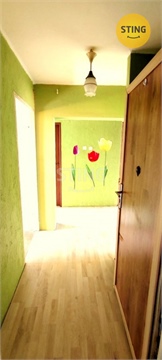 Prodej bytu 3+1, 59 m² 18