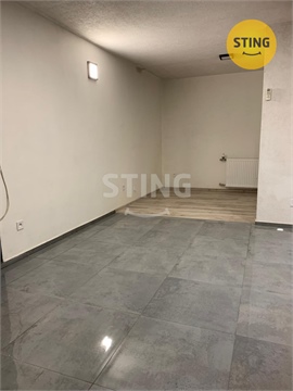 Pronájem bytu 1+1, 54 m² - 6