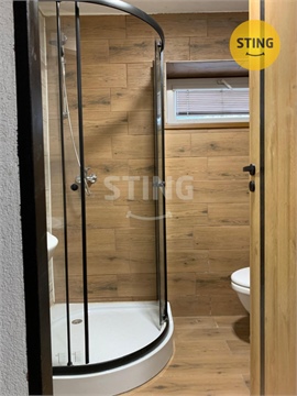 Pronájem bytu 1+1, 54 m² 2