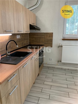 Pronájem bytu 1+1, 54 m² - 0