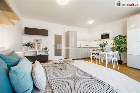 Pronájem bytu 1kk, 37 m² 8