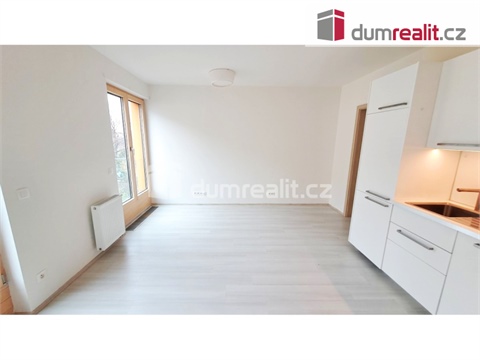Pronájem bytu 1kk, 31 m² 8