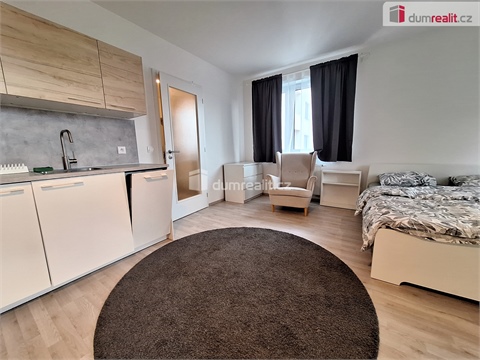 Pronájem bytu 1kk, 33 m² 4