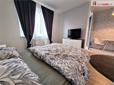 Pronájem bytu 1kk, 33 m² 18