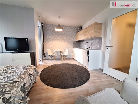 Pronájem bytu 1kk, 33 m² - 16