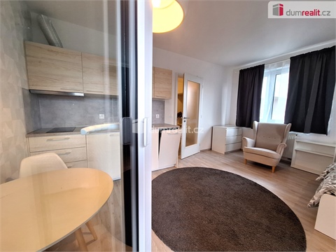 Pronájem bytu 1kk, 33 m² 22