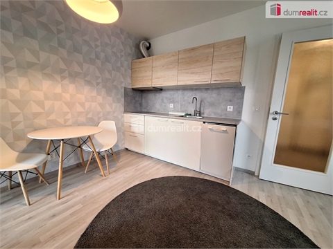 Pronájem bytu 1kk, 33 m² 10