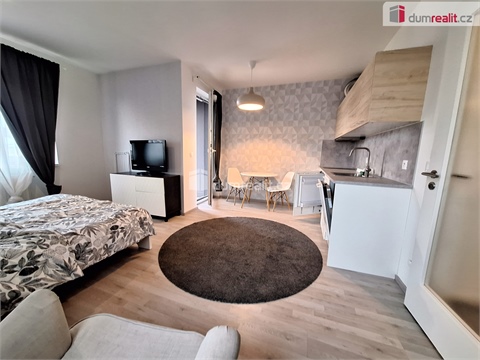 Pronájem bytu 1kk, 33 m² - 8
