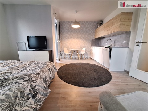 Pronájem bytu 1kk, 33 m² - 18