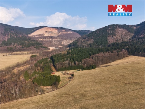 Prodej lesu, 16 741 m² - 2