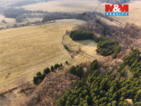 Prodej lesu, 16 741 m² - 14