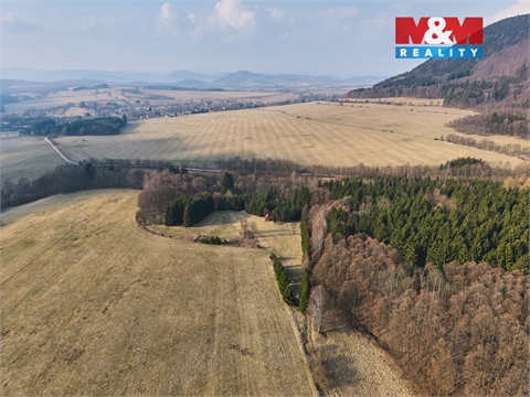 Prodej lesu, 16 741 m² 14