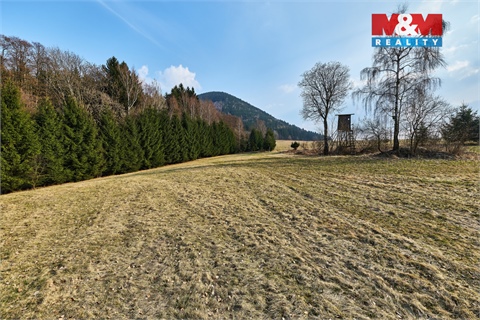 Prodej lesu, 16 741 m² 6