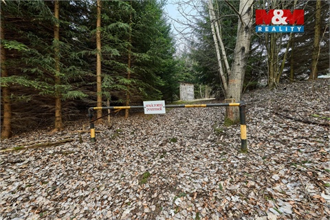 Prodej lesu, 16 741 m² - 16