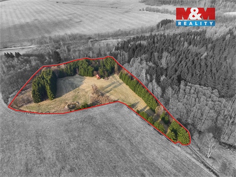 Prodej lesu, 16 741 m² - 0