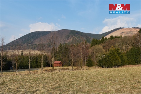 Prodej lesu, 16 741 m² - 12